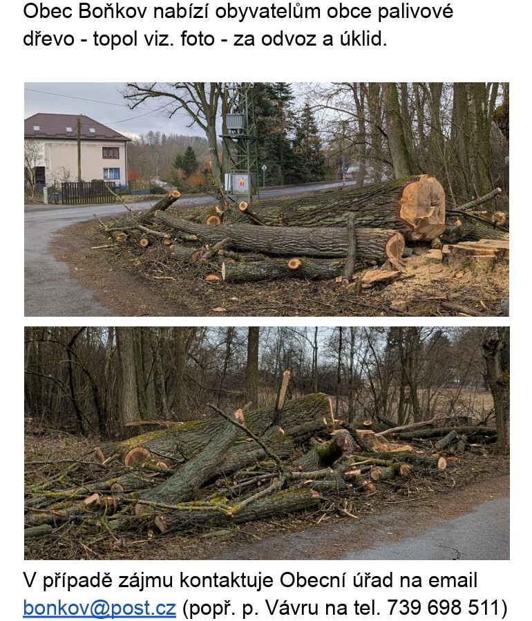 Nabídka dřeva občanům